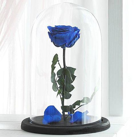 Blue Forever Roses Delivery