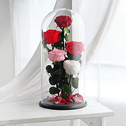 Forever Rose in Glass Dome
