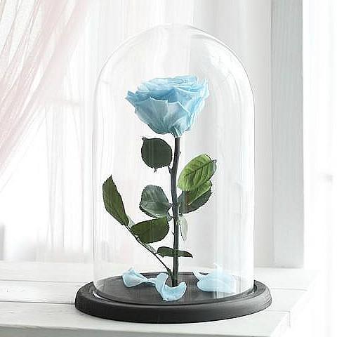 Light Blue Forever Roses Delivery