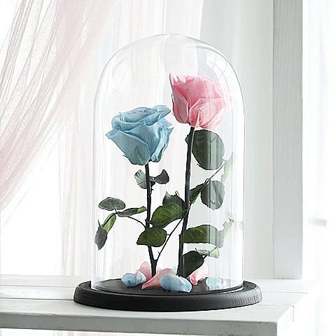 Preserved Roses in Glass Dome