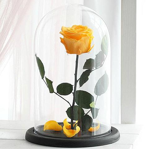 Yellow Forever Roses Delivery