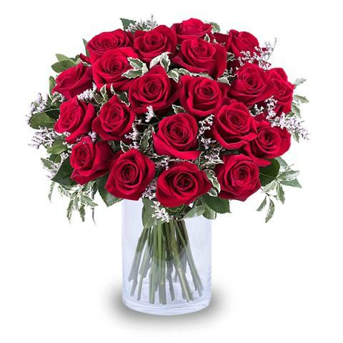 red roses delivery