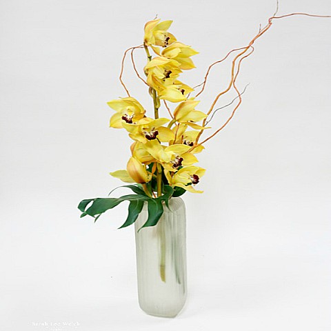 Single Yellow Cymbidium Orchid Delivery