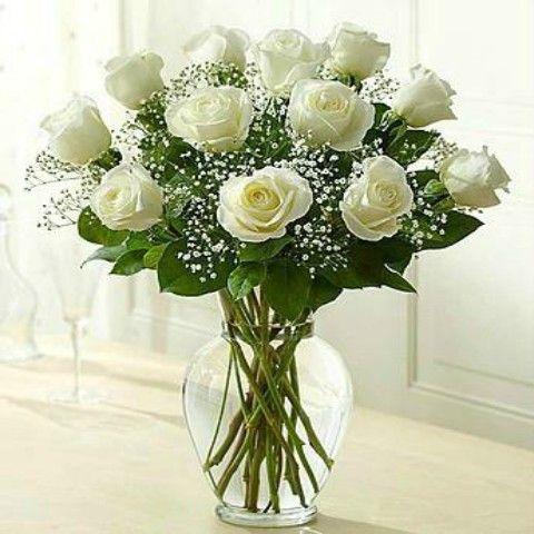 12 White Roses Delivery