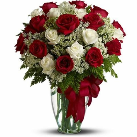 19 Red and White Roses