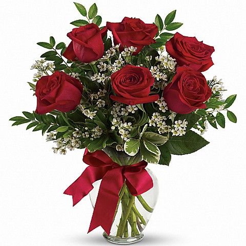 Six Red Roses Delivery